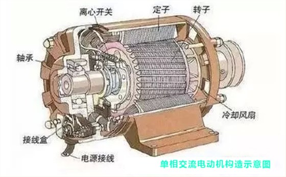 汽车电机