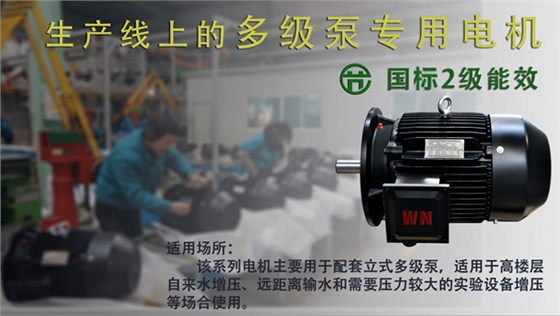 世界杯网站平台站线登录入口-世界杯(中国)
：多级泵